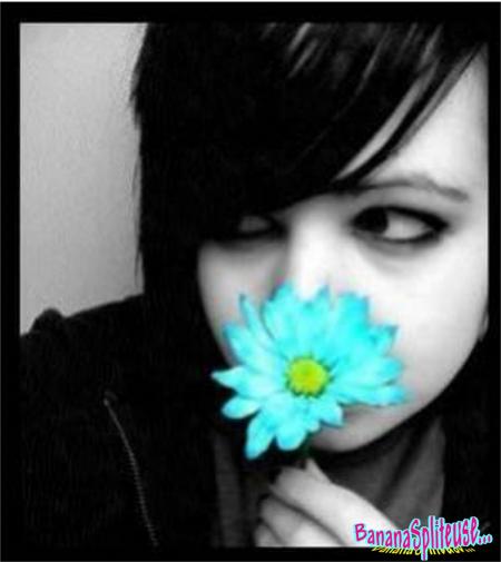 Fleur Bleu